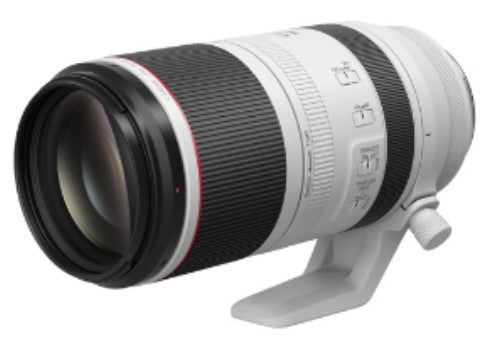 Canon RF100-500mm F4.5-7.1 L IS USM