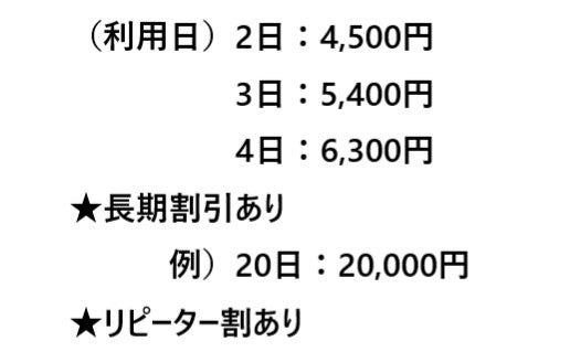 ◆レンタル◆Canon RF100-500mm F4.5-7.1 L IS USM★1日～：3,600円～、前日お届け