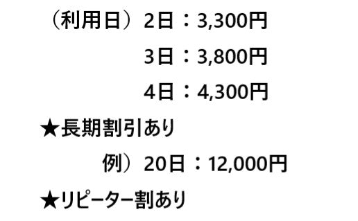 ◆レンタル◆SONY FDR-AX45A [デジタル4Kビデオカメラ]★1日～：2,800円～、前日お届け